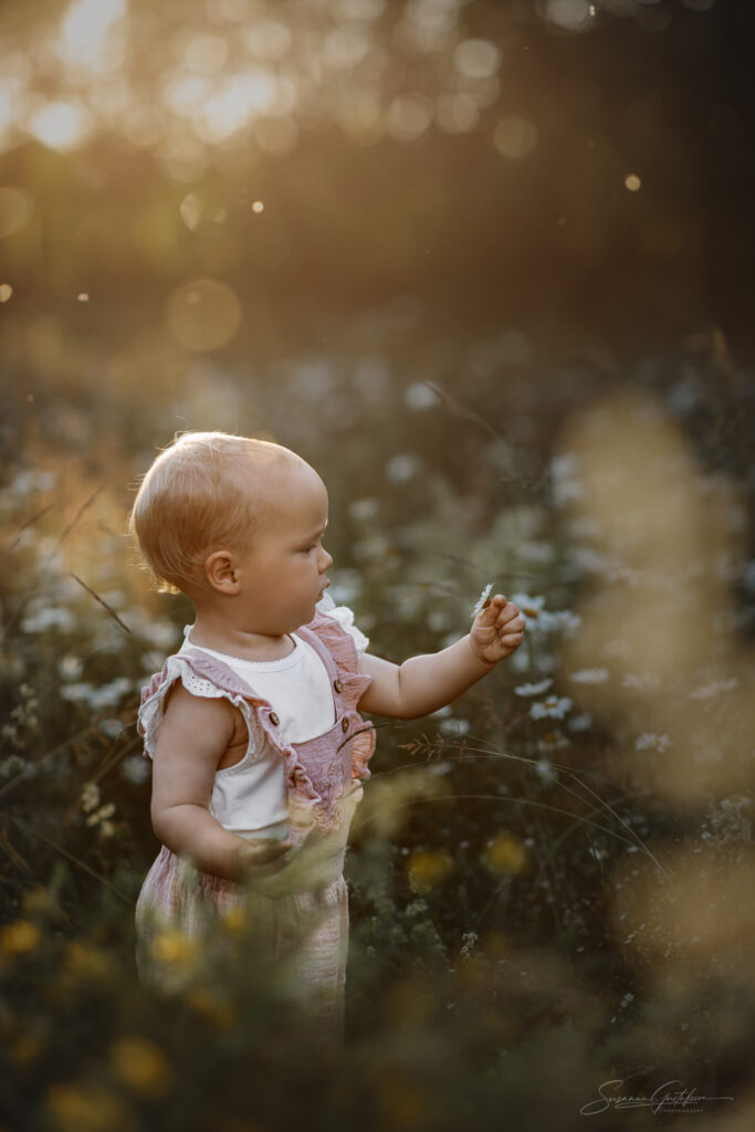 liten flicka stående i en sommaräng, omgiven av prästkragar och en gyllene kvällsljus.