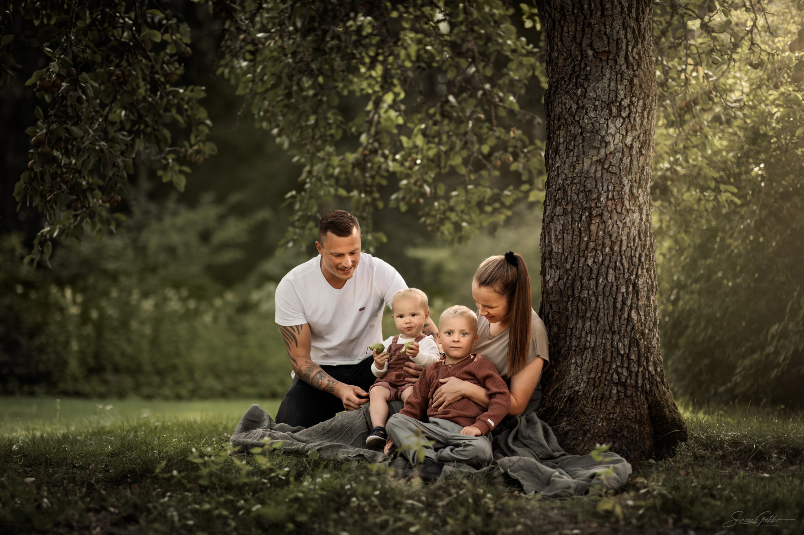 Familjefotografering med en mamma, pappa, pojke och dotter, sittandes under ett päronträd.